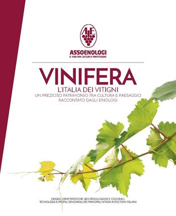 Vinifera. L'Italia dei vitigni. Origini, caratteristiche geo-pedologiche e colturali, tecnologie e profili sensoriali dei principali vitigni autoctoni italiani. Ediz. illustrata  - Libro Assoenologi 2017 | Libraccio.it
