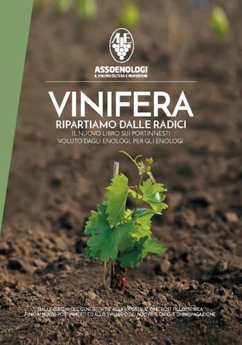 Vinifera. Ripartiamo dalle radici. Il nuovo libro sui portinnesti voluto dagli enologi, per gli enologi. Dalle origini del genere vitis alla ricostruzione post fillosserica fino ai nuovi portinnesti ed allo sviluppo di nuove tecniche di propagazione  - Libro Assoenologi 2019 | Libraccio.it