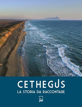 Cethegus. La storia da raccontare - Leonardo Valle, Marco Frittella, Carmen Pellegrino - Libro DFG Lab 2021, Viaticus | Libraccio.it