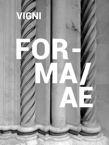 Forma/ae. Siena dentro e fuori. Ediz. italiana e inglese - Stefano Vigni, Marco Pierini - Libro Seipersei 2019 | Libraccio.it