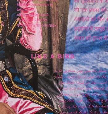 Like a bird. Circus. Ediz. multilingue - Johanna Maris Fritz - Libro L'Artiere 2021 | Libraccio.it
