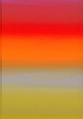 Raphael Hefti: Salutary Failures. Ediz. inglese e tedesca