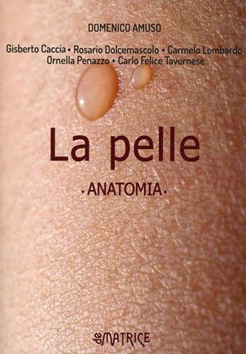 La pelle. Anatomia - Domenico Amuso - Libro De Matrice 2021 | Libraccio.it