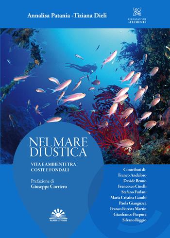 Nel mare di Ustica. Vita e ambienti tra coste e fondali - Annalisa Patania, Tiziana Dieli - Libro Villaggio Letterario 2022 | Libraccio.it