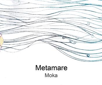 Metamare. Ediz. illustrata - Moka - Libro Il Babi 2021 | Libraccio.it