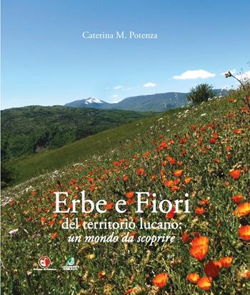Erbe e fiori del territorio lucano. Un mondo da scoprire. Ediz. a colori - Caterina Potenza - Libro Editrice Hermaion 2021 | Libraccio.it
