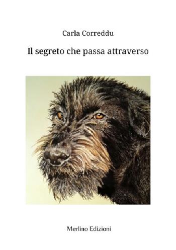 Il segreto che passa attraverso - Carla Correddu - Libro EvArt 2023 | Libraccio.it