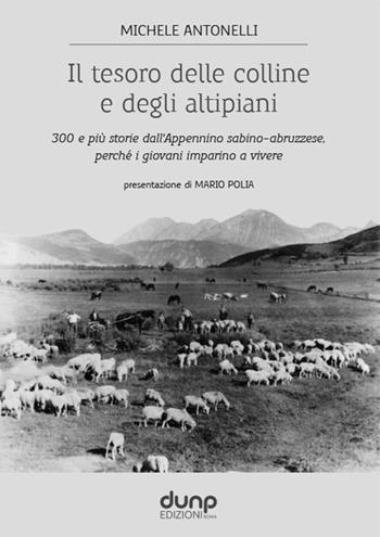 Il tesoro delle colline e degli altipiani. 300 e più storie dall'Appennino sabino-abruzzese, perché i giovani imparino a vivere - Michele Antonelli - Libro Dunp Edizioni 2021 | Libraccio.it