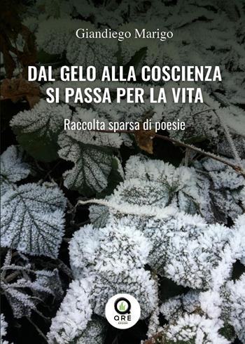 Dal gelo alla coscienza si passa per la vita. raccolta sparsa di poesie - Giandiego Marigo - Libro Quanta Radio Edizioni 2023 | Libraccio.it