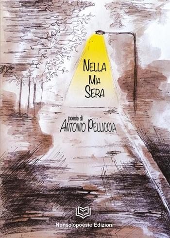 Nella mia sera - Antonio Pelliccia - Libro Nonsolopoesie 2022 | Libraccio.it