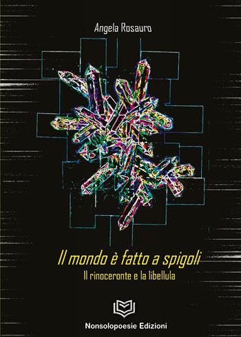 Il mondo è fatto a spigoli - Angela Rosauro - Libro Nonsolopoesie 2022 | Libraccio.it