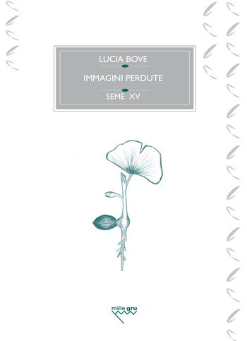 Immagini perdute. Ovvero, dell’amore e di un ginkgo biloba - Lucia Bove - Libro Mille Gru 2025, I semi | Libraccio.it