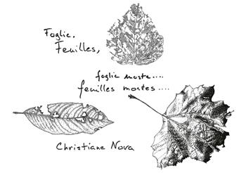 Foglie, foglie morte...-Feuilles, feuilles mortes.... Ediz. bilingue - Christiane Nova - Libro Salvioni 2024 | Libraccio.it