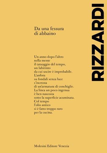 Da una fessura di abbaino - Alfredo Rizzardi - Libro Molesini Editore Venezia 2023 | Libraccio.it