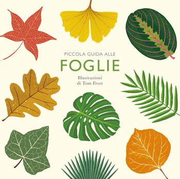 Piccola guida alle foglie. Ediz. illustrata - Alison Davies - Libro Nomos Edizioni 2019, Nomos illustrati | Libraccio.it