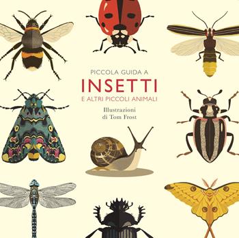 Piccola guida a insetti e altri piccoli animali - Alison Davies - Libro Nomos Edizioni 2020, Nomos illustrati | Libraccio.it