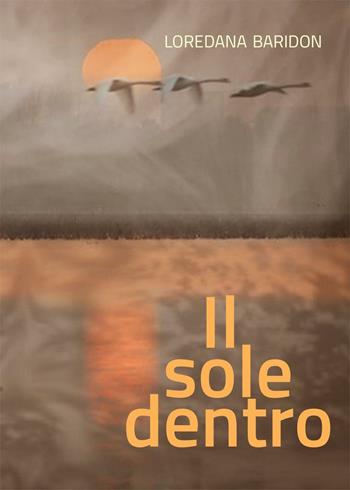 Il sole dentro - Loredana Baridon - Libro PubMe 2016 | Libraccio.it
