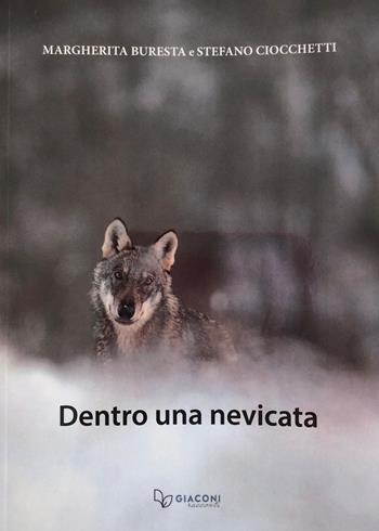 Dentro una nevicata. Ediz. illustrata - Margherita Buresta, Stefano Ciocchetti - Libro Giaconi Editore 2019 | Libraccio.it