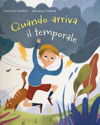 Quando arriva il temporale. Ediz. a colori - Francesca Carabelli - Libro Pane e Sale 2019 | Libraccio.it