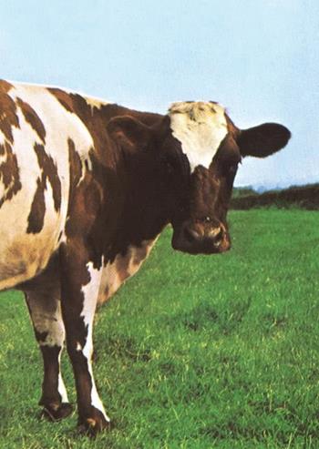 Atom Heart Mother. Il cuore nuovo dei Pink Floyd - Giovanni Rossi - Libro Tsunami 2023, Le tormente | Libraccio.it