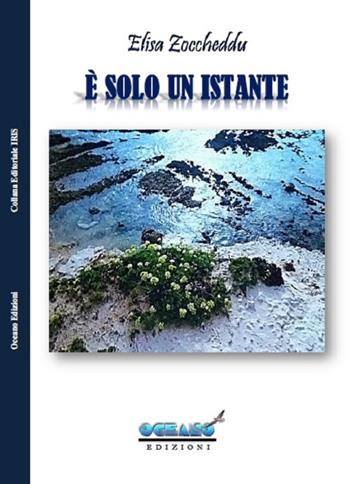 È solo un istante - Elisa Zoccheddu - Libro L'Oceano nell'Anima 2018, Iris | Libraccio.it