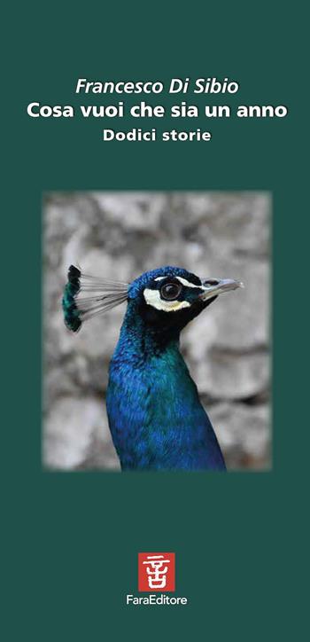 Cosa vuoi che sia un anno. Dodici storie - Francesco Di Sibio - Libro Fara 2020, Narrabilando | Libraccio.it
