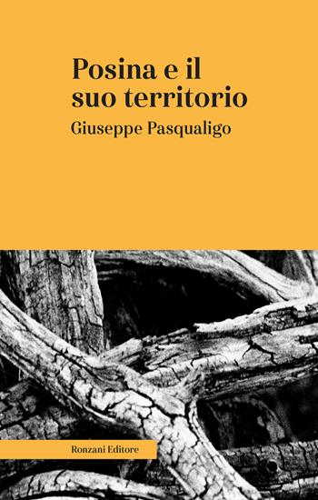 Posina e il suo territorio. Nei rapporti fisio-medico-storico-statistici. Ediz. integrale - Giuseppe Pasqualigo - Libro Ronzani Editore 2019, Saggi | Libraccio.it