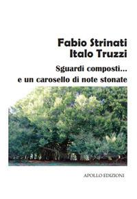 Sguardi composti... e un carosello di note stonate - Fabio Strinati, Italo Truzzi - Libro Apollo Edizioni 2018, Sabra/Chatila | Libraccio.it