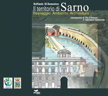Il territorio di Sarno. Paesaggio ambiente architettura - Raffaele Di Domenico - Libro Area Blu Edizioni 2019 | Libraccio.it