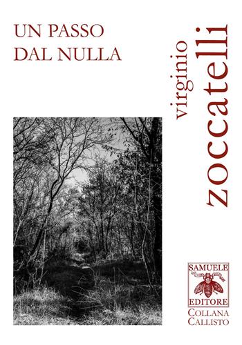 Un passo dal nulla - Virginio Zoccatelli - Libro Samuele 2022, Callisto | Libraccio.it