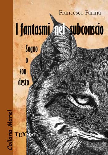 I fantasmi nel subconscio. Sogno o son desto - Francesco Farina - Libro Texmat 2023, Marel | Libraccio.it