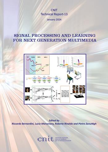 Signal processing and learning for next generation multimedia  - Libro Texmat 2024, CNIT. Technical report | Libraccio.it