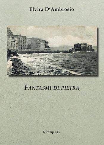 Fantasmi di pietra - Elvira D'Ambrosio - Libro Nicomp Laboratorio Editoriale 2023 | Libraccio.it