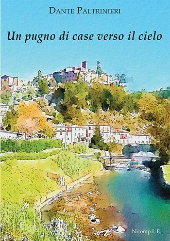 Un pugno di case verso il cielo - Dante Paltrinieri - Libro Nicomp Laboratorio Editoriale 2025 | Libraccio.it