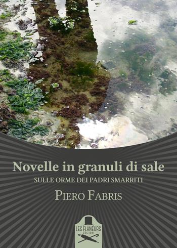Novelle in granuli di sale. Sulle orme dei padri smarriti - Piero Fabris - Libro Les Flâneurs Edizioni 2018, Bohemien | Libraccio.it