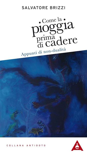 Come la pioggia prima di cadere. Appunti di non-dualità - Salvatore Brizzi - Libro Antipodi 2016 | Libraccio.it