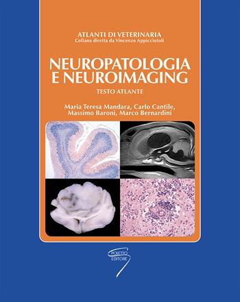 Nuropatologia e neuroimaging. Testo atlante - Maria Teresa Mandara, Carlo Cantile, Massimo Baroni - Libro Poletto Editore 2011 | Libraccio.it