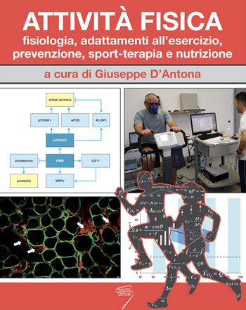 Attività fisica. Fisiologia, adattamenti all'esercizio, prevenzione, sport-terapia e nutrizione. per download e accesso online  - Libro Poletto Editore 2019 | Libraccio.it