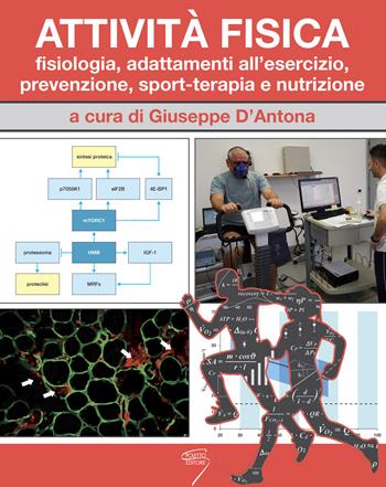 Attività fisica. Fisiologia, adattamenti all'esercizio, prevenzione, sport-terapia e nutrizione. Con Contenuto digitale per download e accesso on line  - Libro Poletto Editore 2019 | Libraccio.it