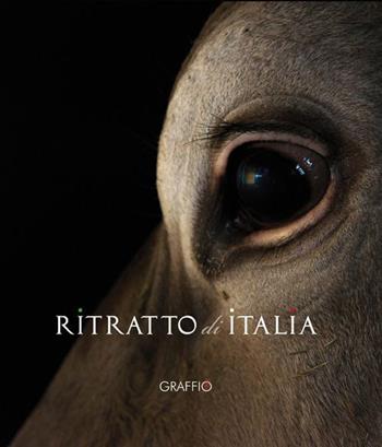 Ritratto di Italia. Ediz. illustrata. Con DVD - Franco Borrelli - Libro Edizioni del Graffio 2015 | Libraccio.it