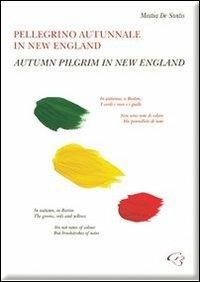Pellegrino autunnale in New England. Raccolta di poesie & sincrarti. Ediz. italiana e inglese - Mattia De Santis - Libro Ginevra Bentivoglio EditoriA 2011, Allegorica | Libraccio.it