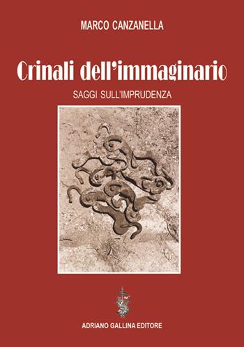 Crinali dell'immaginario. Saggi sull'imprudenza - Marco Canzanella - Libro Adriano Gallina Editore 2019 | Libraccio.it