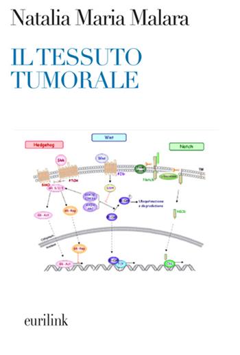 Il tessuto tumorale. Nuove prospettive diagnostico-terapeutiche in oncologia - Natalia M. Malara - Libro Eurilink 2010, I saggi | Libraccio.it