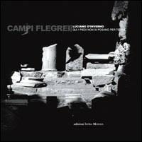 Campi Flegrei. Qui i piedi non si posan per terra. Ediz. illustrata - Luciano D'Inverno - Libro Intra Moenia 2007, Controimmagine | Libraccio.it