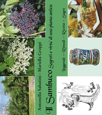 Il sambuco. Segreti e virtù di una pianta antica - Antonella Sabatini, Mariella Groppi - Libro Annulli 2017, ViverSani | Libraccio.it