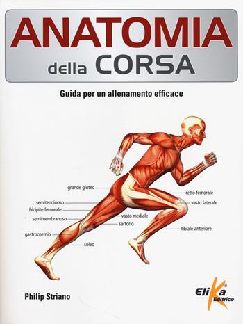 Anatomia della corsa. Guida per un alenamento efficace - Philip Striano - Libro Elika 2014, Anatomia | Libraccio.it