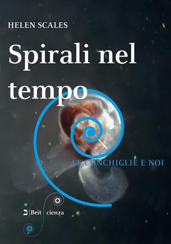 Spirali nel tempo. Le conchiglie e noi - Helen Scales - Libro Beit 2017, Scienza | Libraccio.it