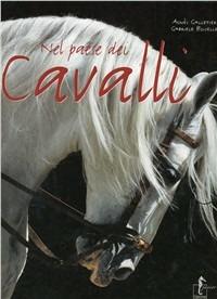 Nel paese dei cavalli. Ediz. illustrata - Gabriele Boiselle - Libro L'Ippocampo Ragazzi 2009 | Libraccio.it