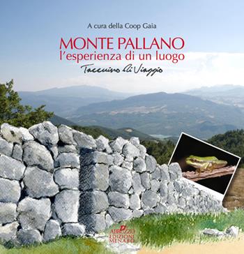 Monte Pallano. L'esperienza di un luogo. Taccuino di viaggio - Patrizia Di Tondo, M. Pina Teti, Ivana Ianni - Libro Menabò 2014, Guide d'Abruzzo | Libraccio.it