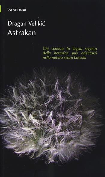 Astrakan - Dragan Velikic - Libro Zandonai 2013, I piccoli fuochi | Libraccio.it